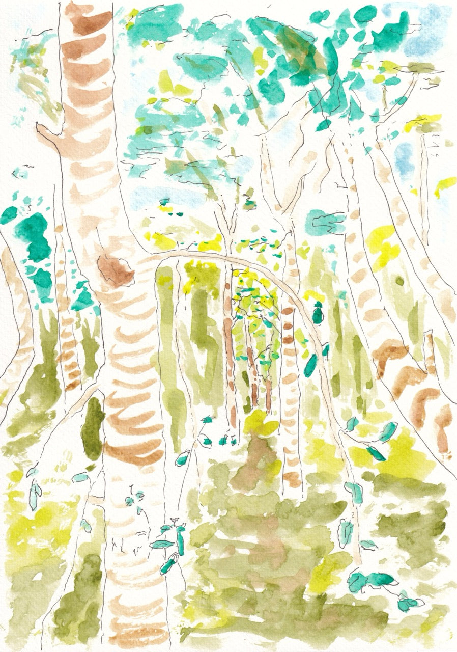 On Norton Common