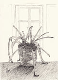 Study of a Plant