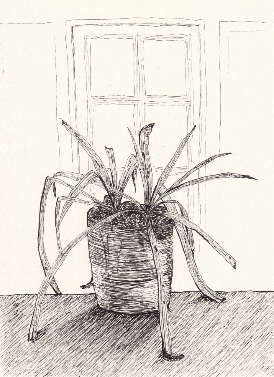 Study of a Plant