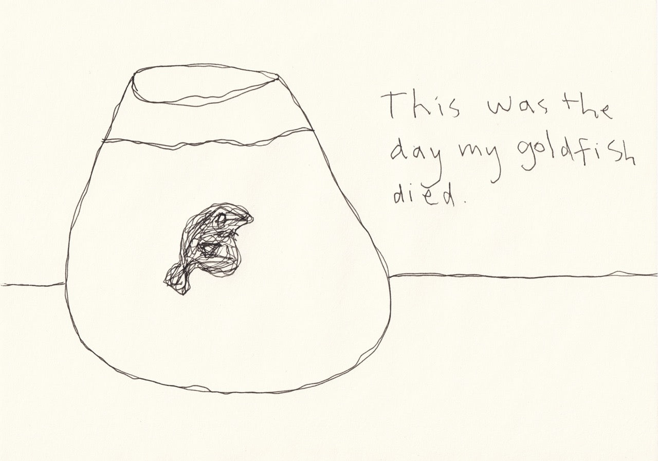 This was the day my goldfish died