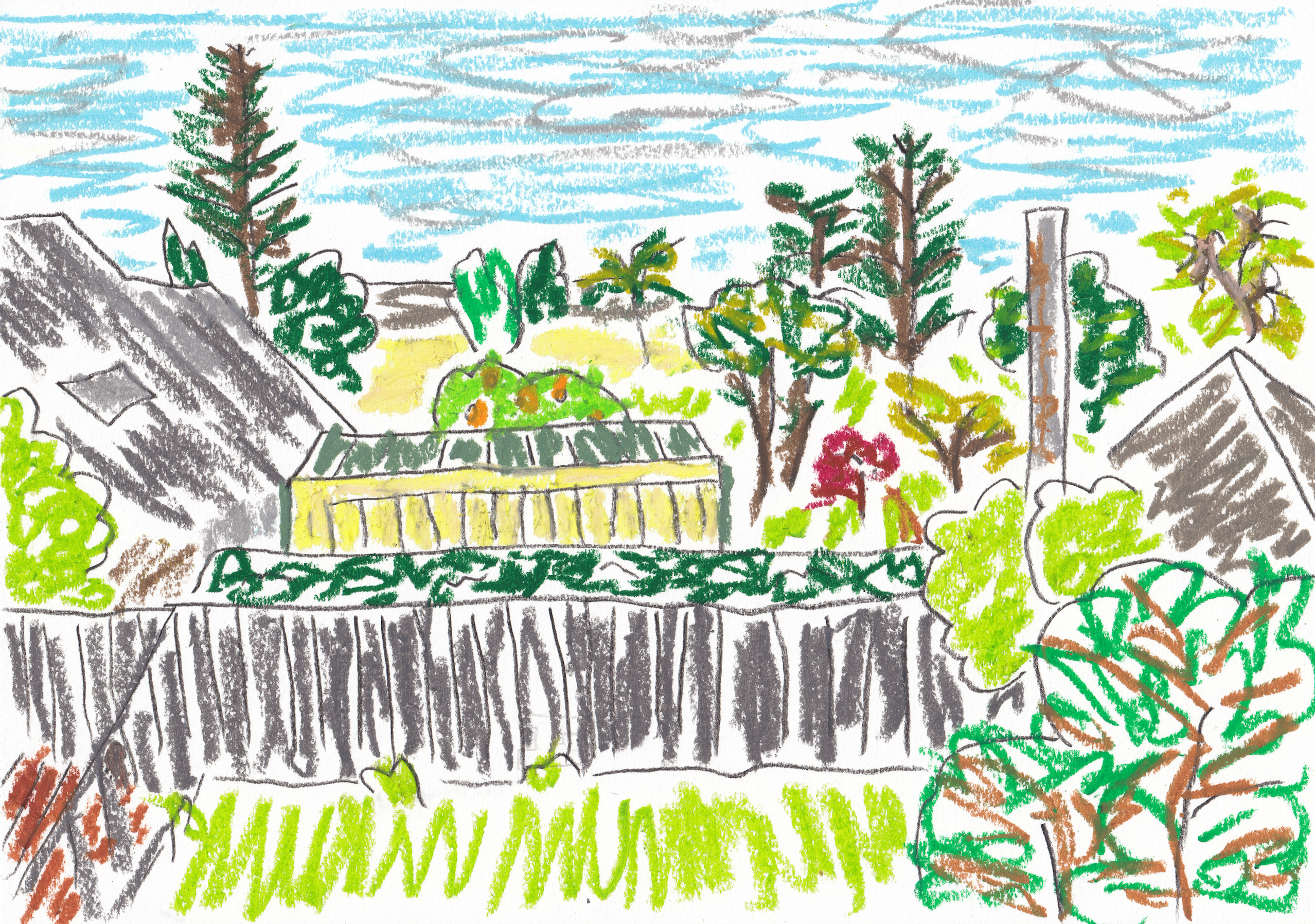 View from deck at home, end of spring